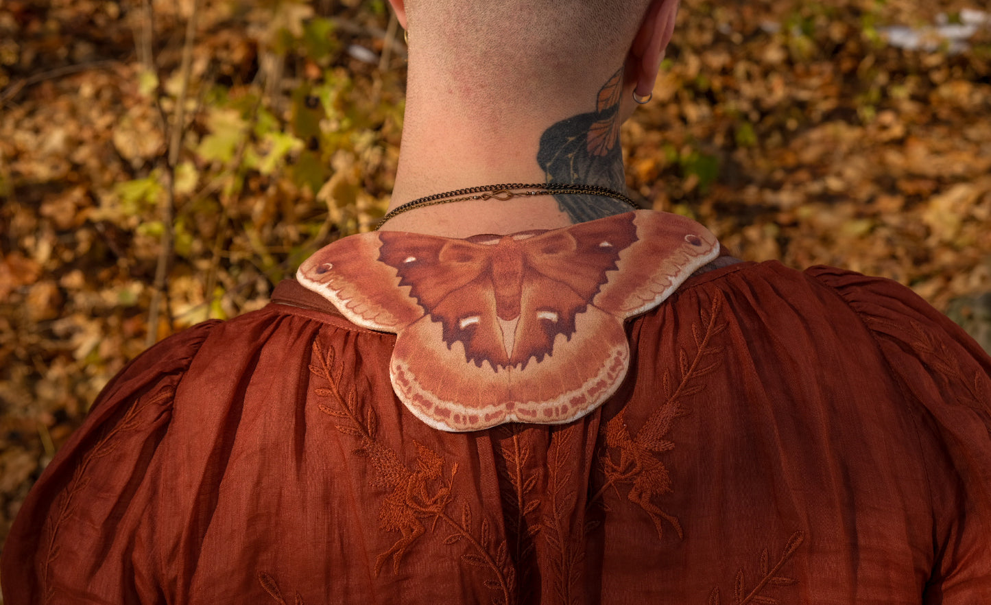 The Moth Companion PREORDER