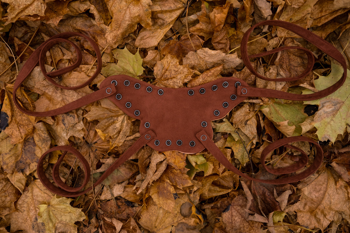 The Moth Companion PREORDER