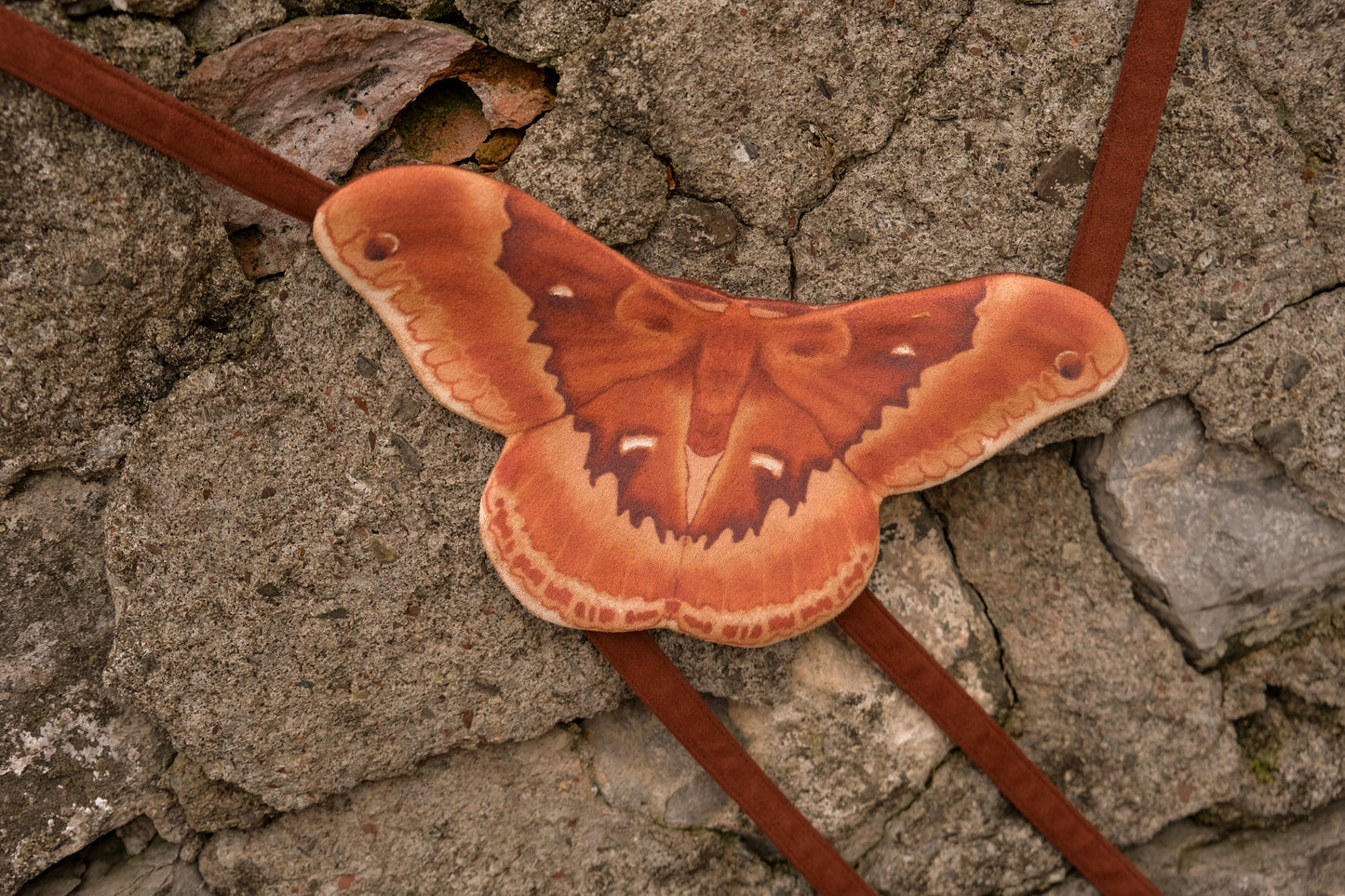 The Moth Companion PREORDER