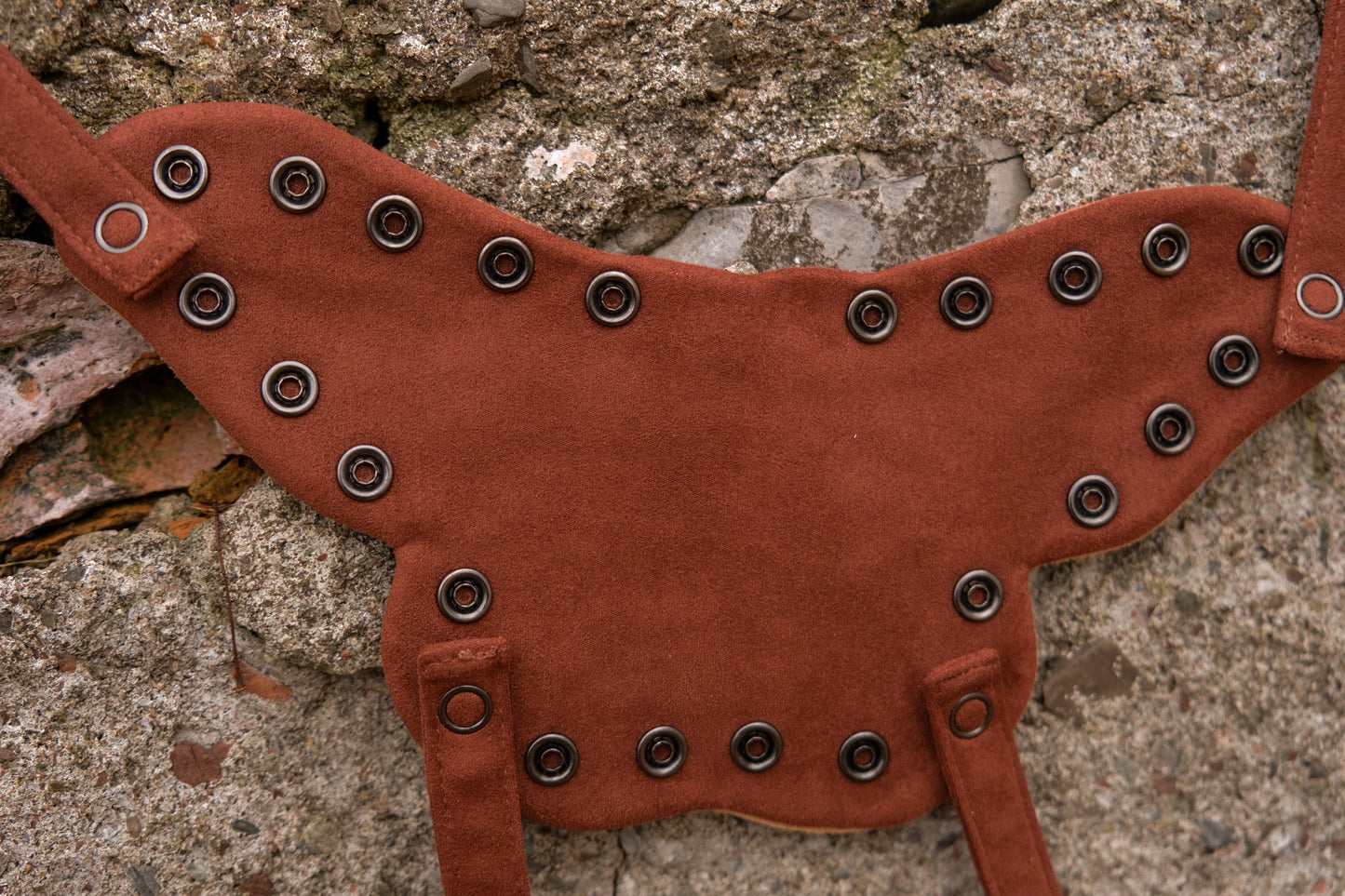 The Moth Companion PREORDER