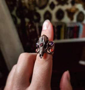 Fox skull wide ring - Bronze