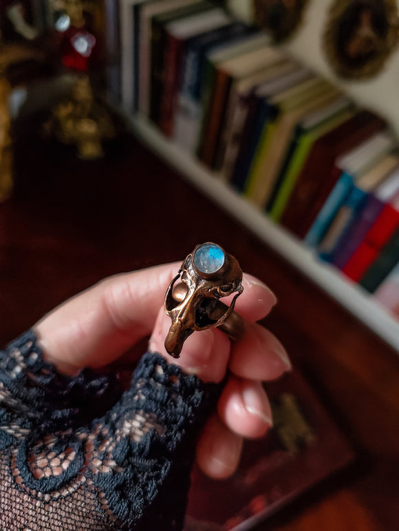 Rodent skull ring - Bronze