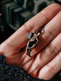 Rodent skull necklace - bronze